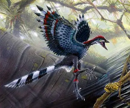 archaeopteryx.webp