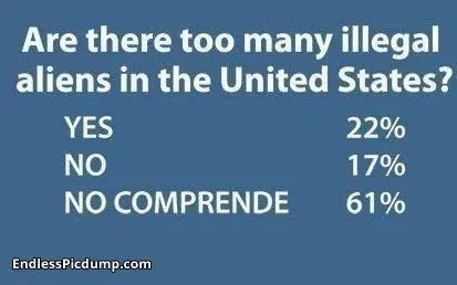 are there too many illegal aliens in the US.webp