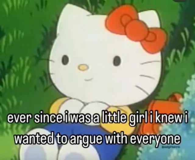 arguing with everyone.webp