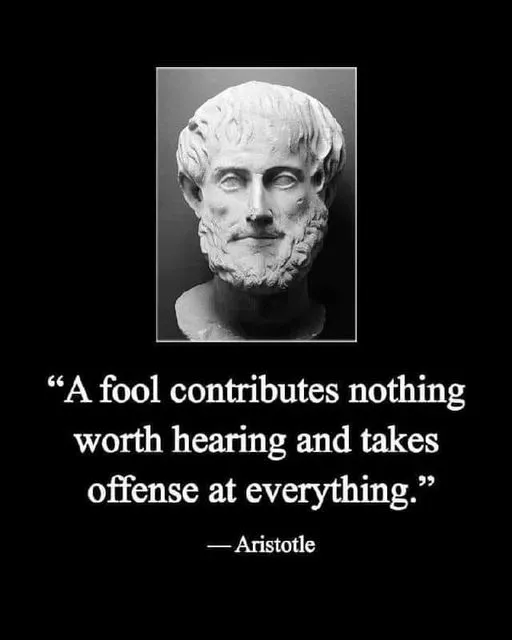 aristotal a fool is always offended.webp