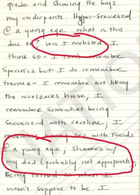 ashley diary 993.webp