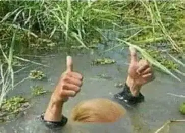 AteBySwampjpg.webp