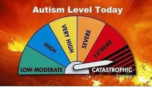 AutismLevel.webp