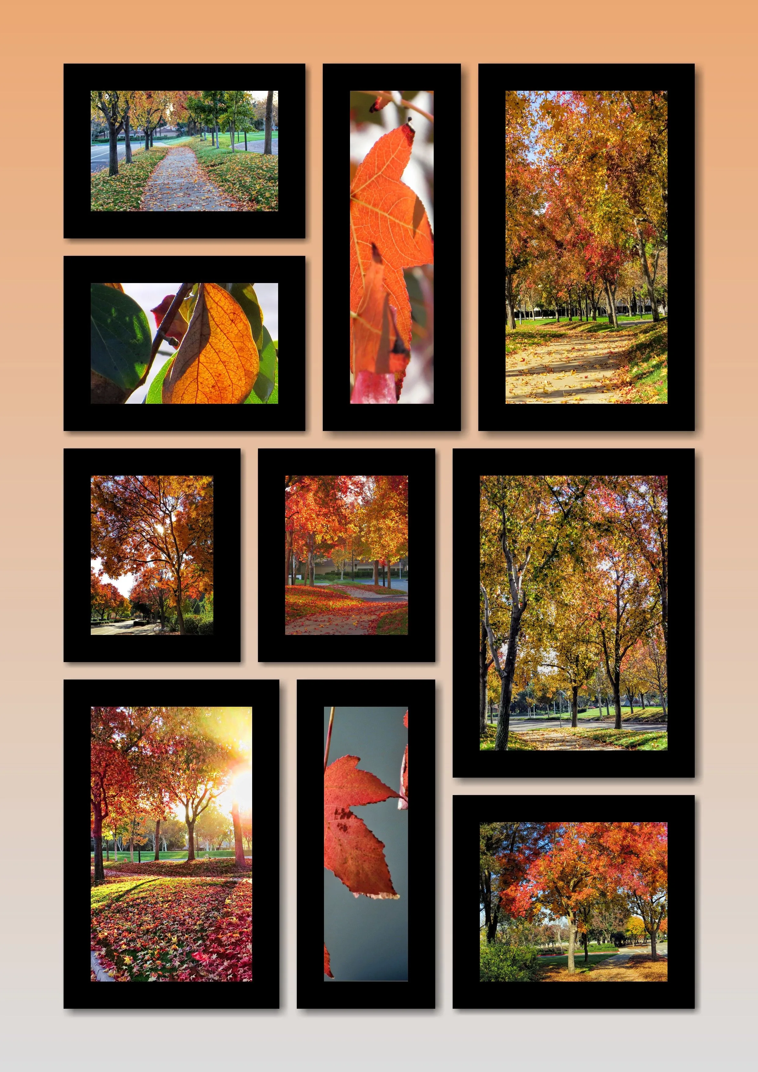 Autumn1.webp