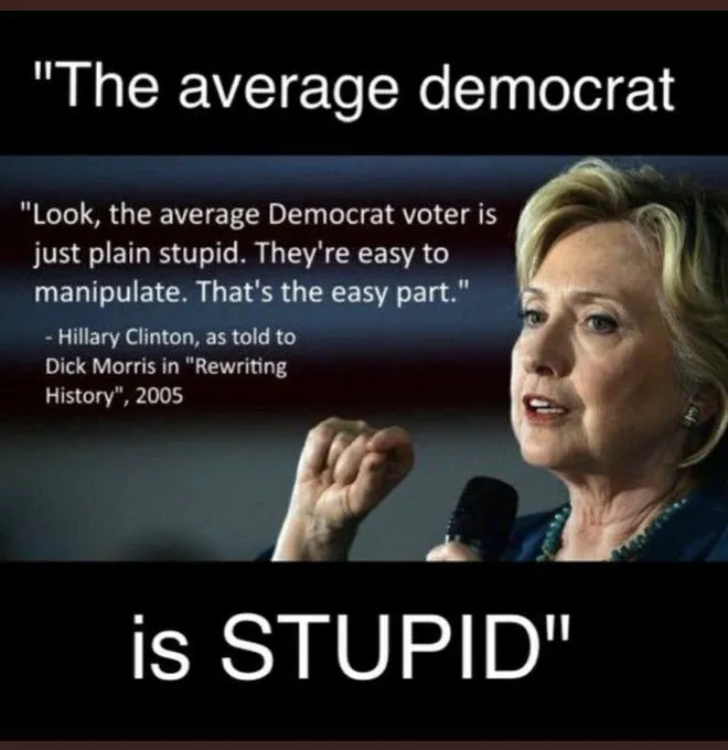 average democrat is stupid.webp