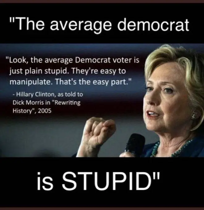 average democrat is stupid.webp