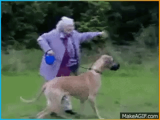 awakenedslavex - 1856799903084941761.gif