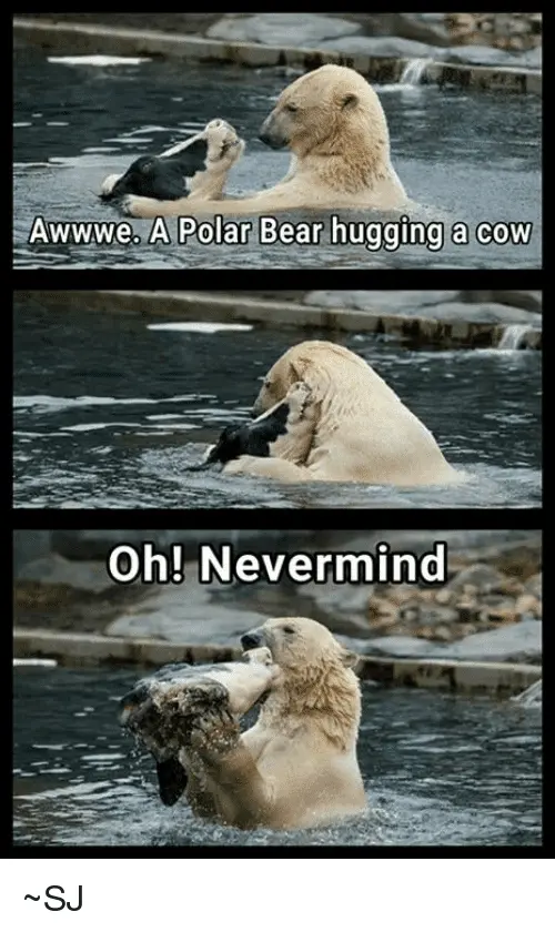 awwwe-a-polar-bear-hugging-a-cow-oh-nevermind-_sj-28045398.webp