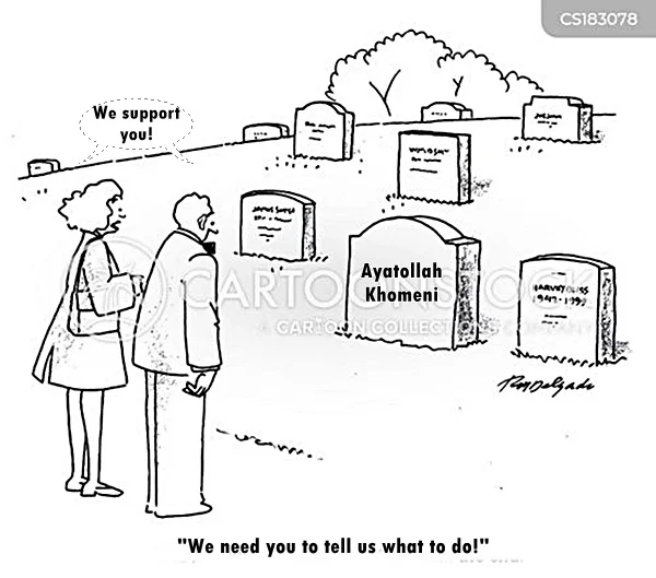 Ayatollahsupport.webp