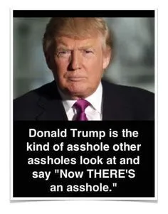 b2c7243fa3e7bb3cb25b667f26f8f08d--political-satire-republican-party.webp