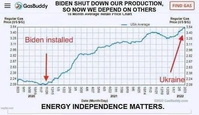 b4498394-e335-45d2-adab-aa060babf313-jpeg.631375