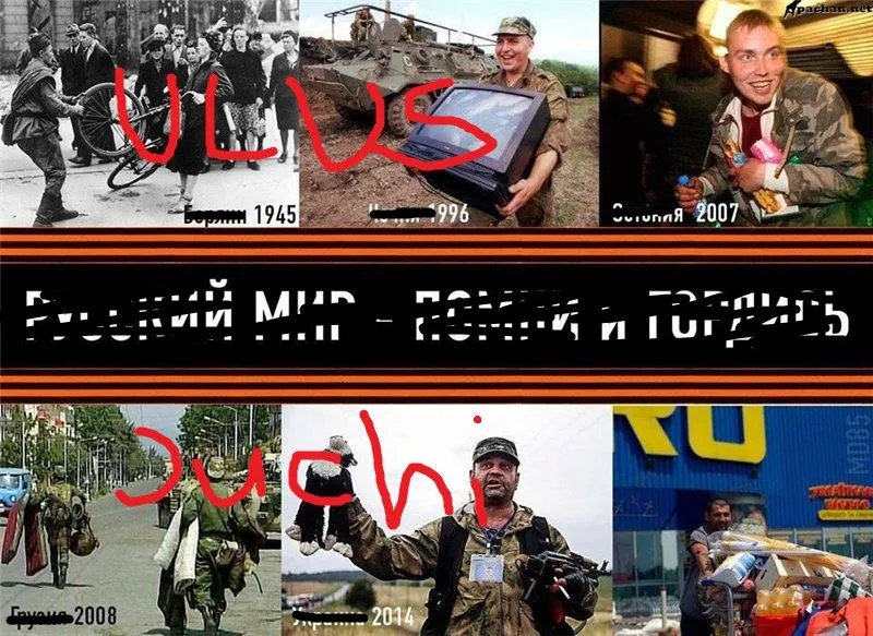 b88a1e55bf44.webp