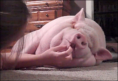 B979FB0D-577D-4477-848B-4BCF07DE9C0D.gif