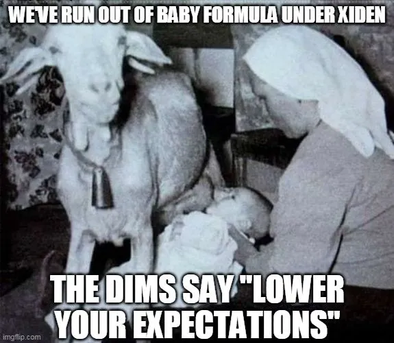 baby formula 11.webp