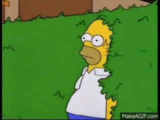 backout.gif