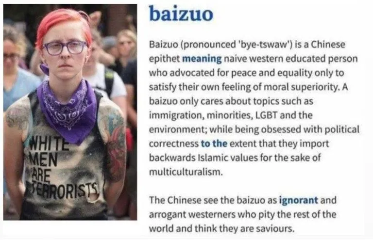 Baizuo-Socialist-Socialism-Antifa.webp