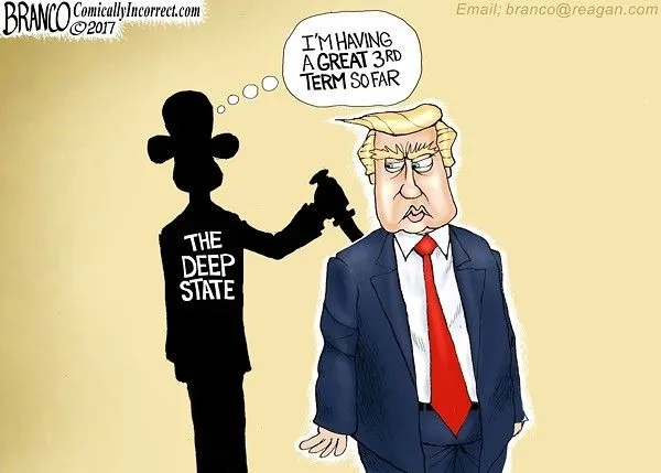 bamma third term.webp