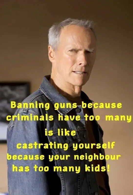 banning guns.webp
