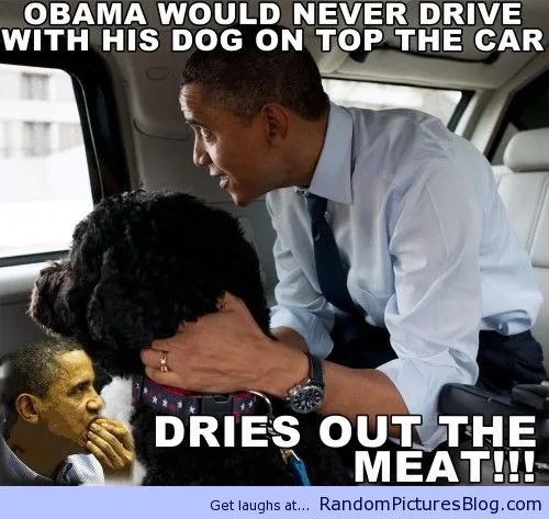 Barack-Obama-Eating-Dogs-500x473.webp