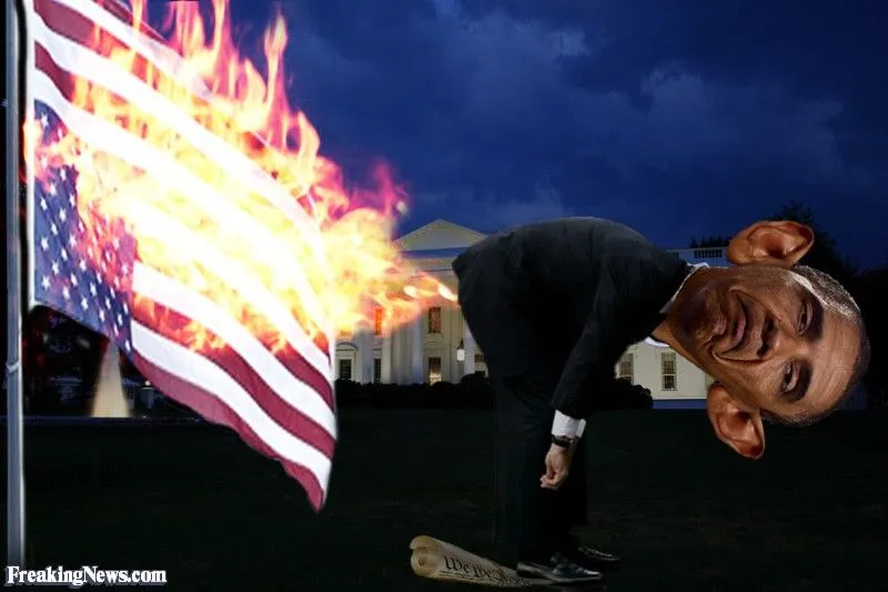 Barack-Obama-Set-Fire-to-American-Flag--110086.webp