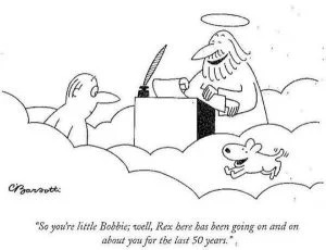 barsotti-dog-heaven-300x230.webp