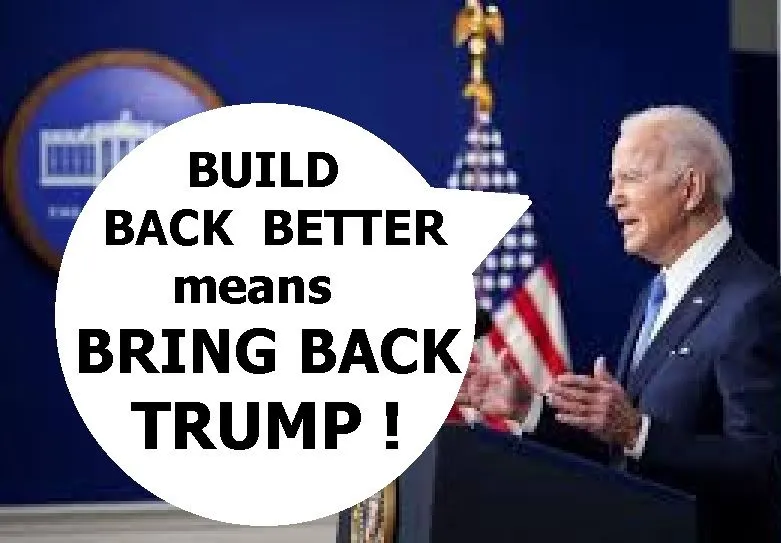 BBT - Bring Back Trump.webp