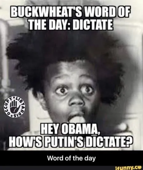 bbuckwheatobamaputin.webp