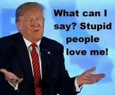 bdfd80ac89c1a99a6acfba435bd521ca--trump-funny-trump-quotes.webp