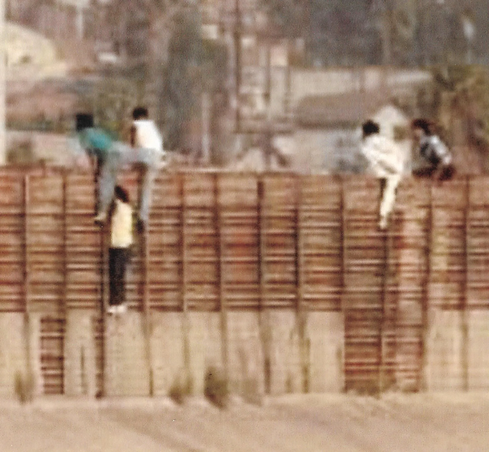 beaners climbing fence 4.webp
