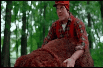 bear-******.gif