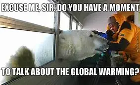 BEAR.webp