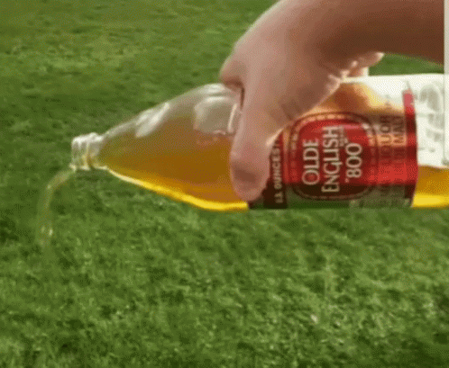 beer-pour (1).gif