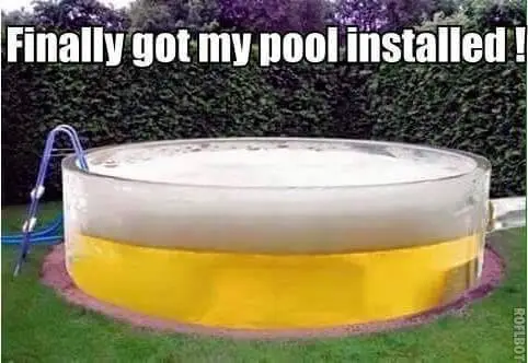 beer_pool.webp