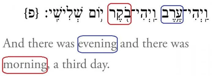 bereshit-1-13.webp