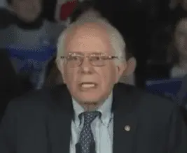 Bernie.webp