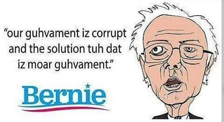 bernie3.webp
