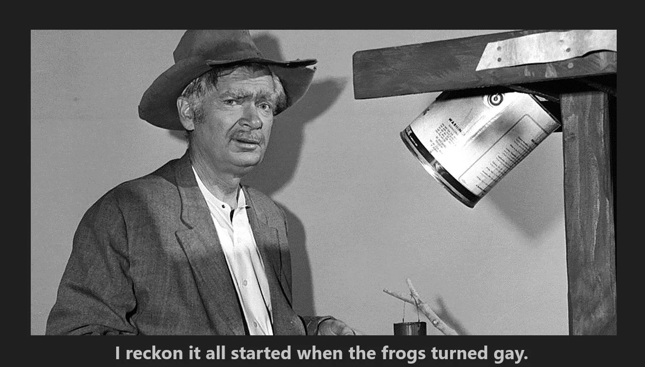 bev I reckon - frogs gay.webp