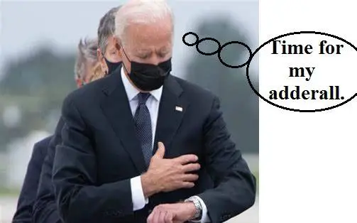 Biden 1.3.webp