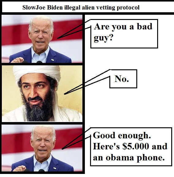 biden 1.5.webp