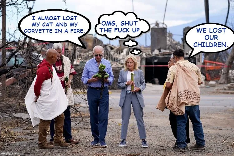 biden almost lost my cat and corvette.jpg