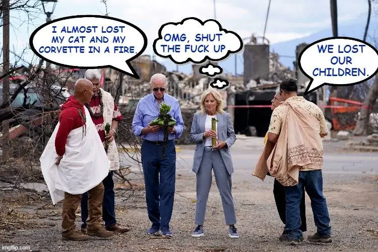 biden almost lost my cat and corvette.webp