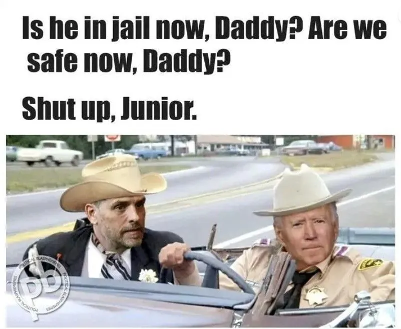 biden and huntercannonball crooks.webp