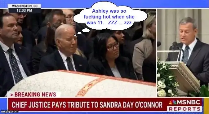 biden ashley hot.webp