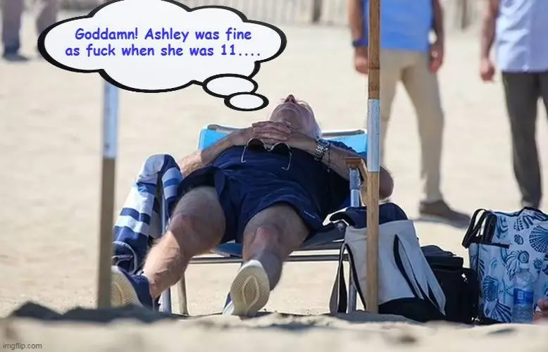 biden beach dreams of ashley.jpg