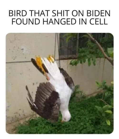 Biden bird shit.webp