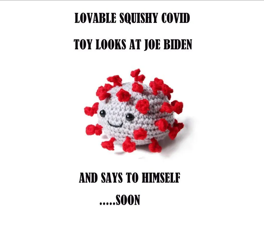 biden covid.webp