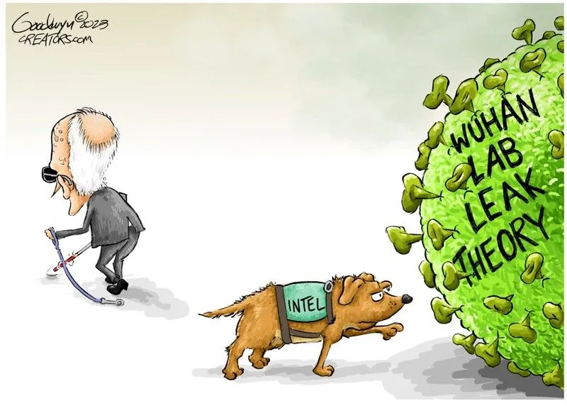 biden covidkjwhkjdhqksqkshksh.webp