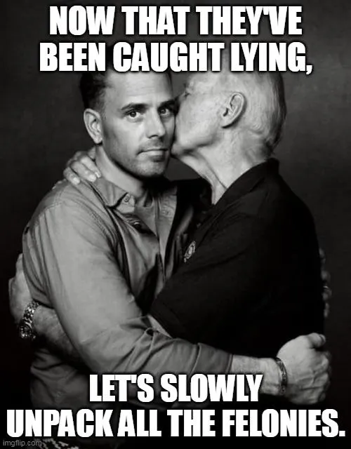 biden crimes 005.webp