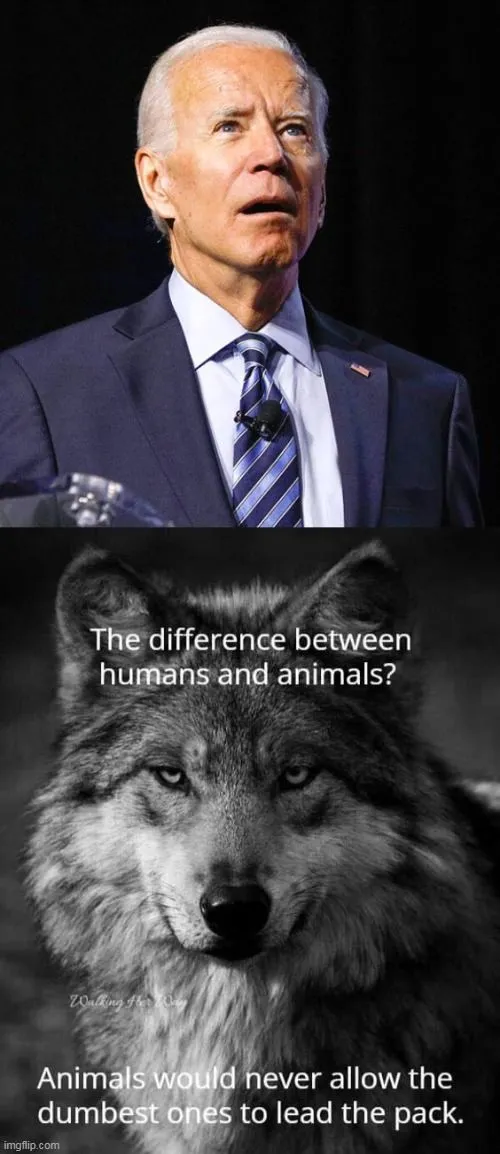 biden difference 9.webp