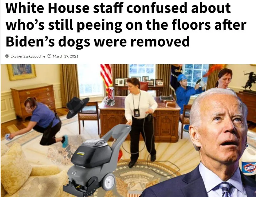 biden dog pee.webp